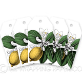TAG WHITE MATT LIMONCELLO