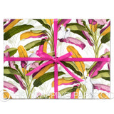NOOSA COUNTER ROLL