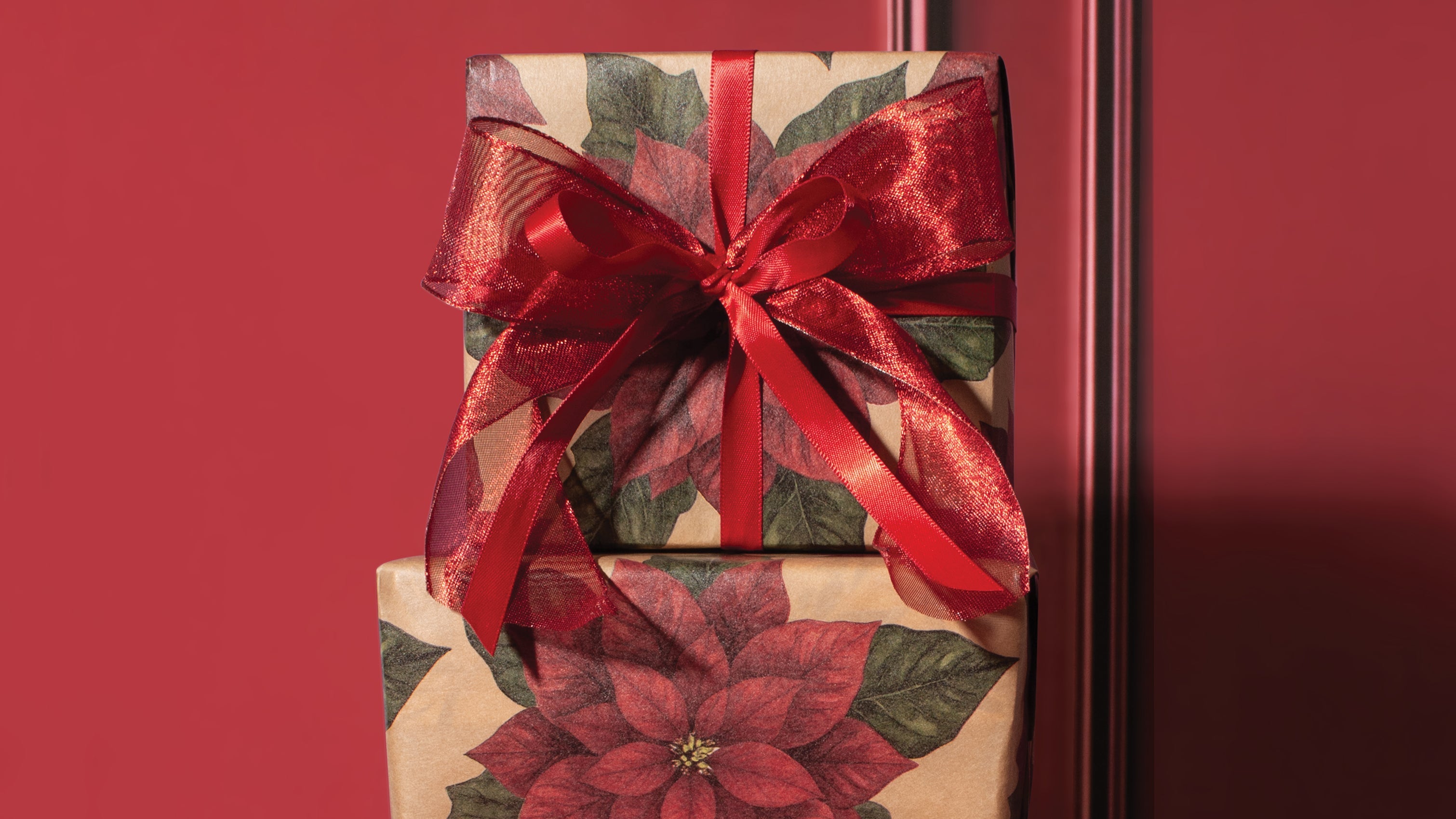 POINSETTIA