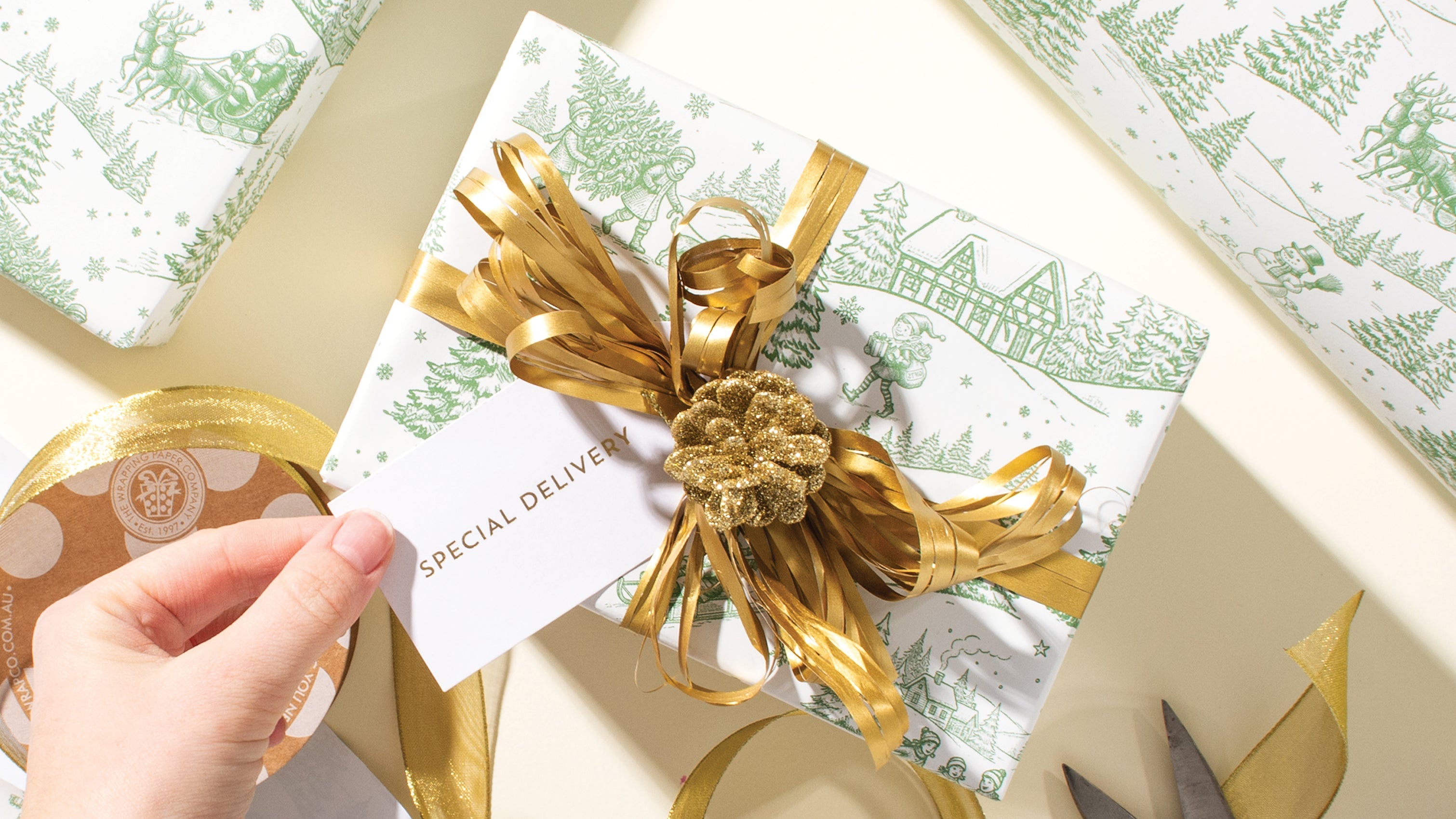 CHRISTMAS TOILE