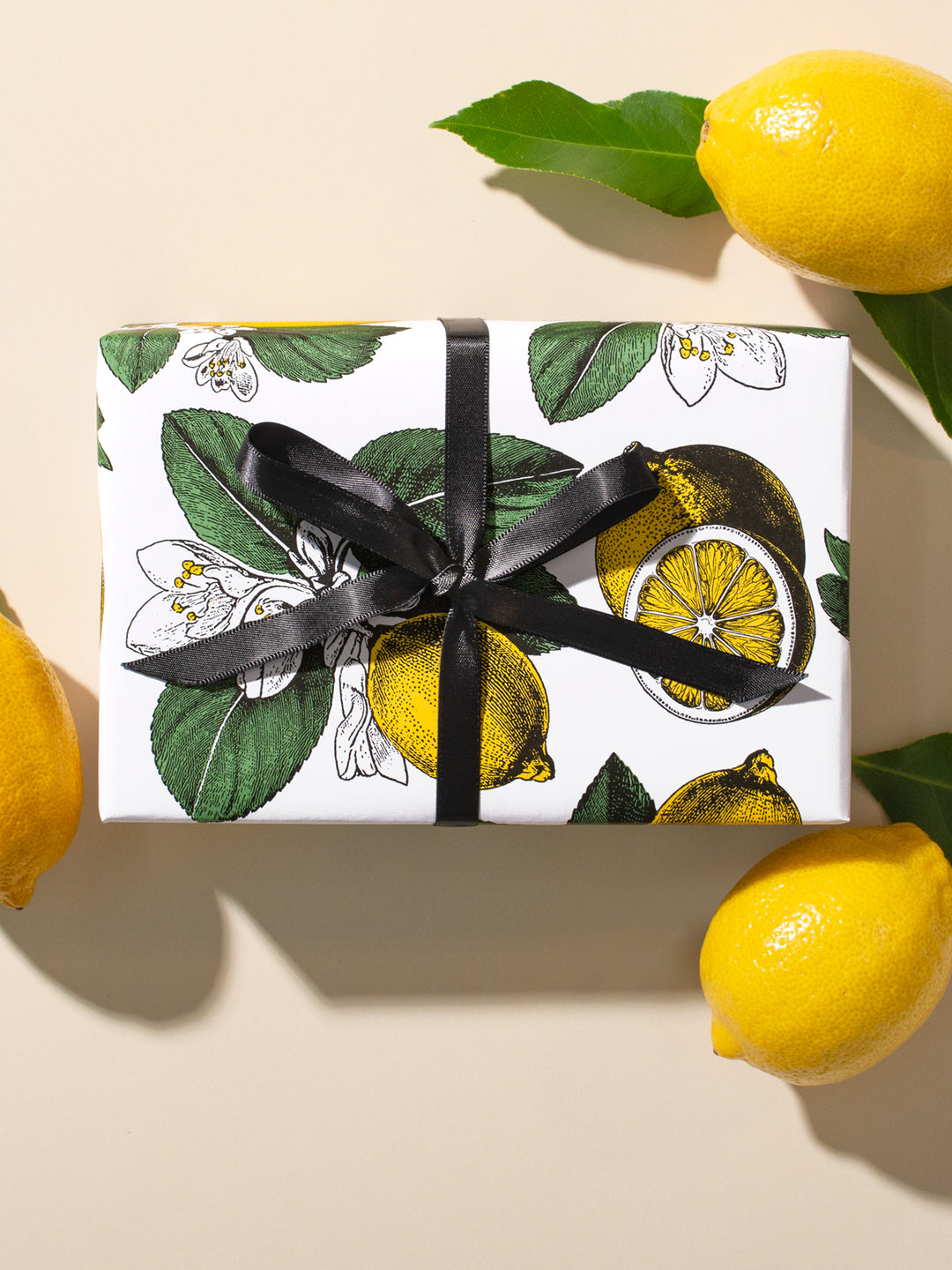 The Wrapping Paper Co. – The Wrapping Paper Co. Pty. Ltd.