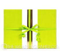 LUSCIOUS LIME GLOSS COUNTER ROLL